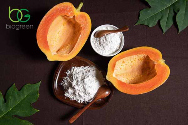 Enzyme papain chiết xuất trong đu đủ