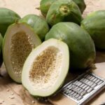 Enzyme Papain có ở đâu? Những thực phẩm giàu enzyme tiêu hóa tự nhiên tốt cho sức khỏe