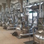 Papain được chiết xuất và sản xuất như thế nào?
