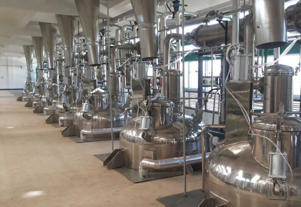 Papain được chiết xuất và sản xuất như thế nào?