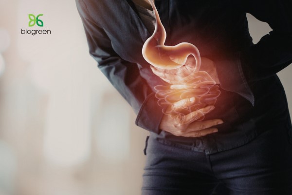 Papain 100mg - Giải pháp hỗ trợ sức khoẻ đường tiêu hoá 3