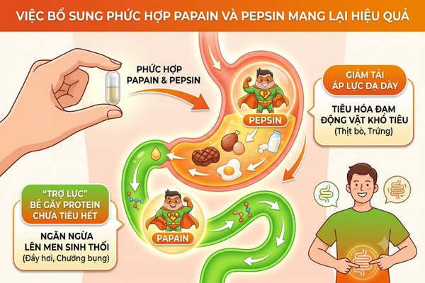 Khả năng thủy phân protein: Papain hay Pepsin cắt liên kết peptide hiệu quả hơn? 2