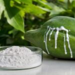 Enzyme Papain tẩy tế bào chết - Giải pháp sinh học cho làn da nhạy cảm