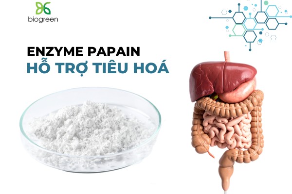 Tác dụng của mủ đu đủ là gì? Mủ đu đủ có độc không? 3